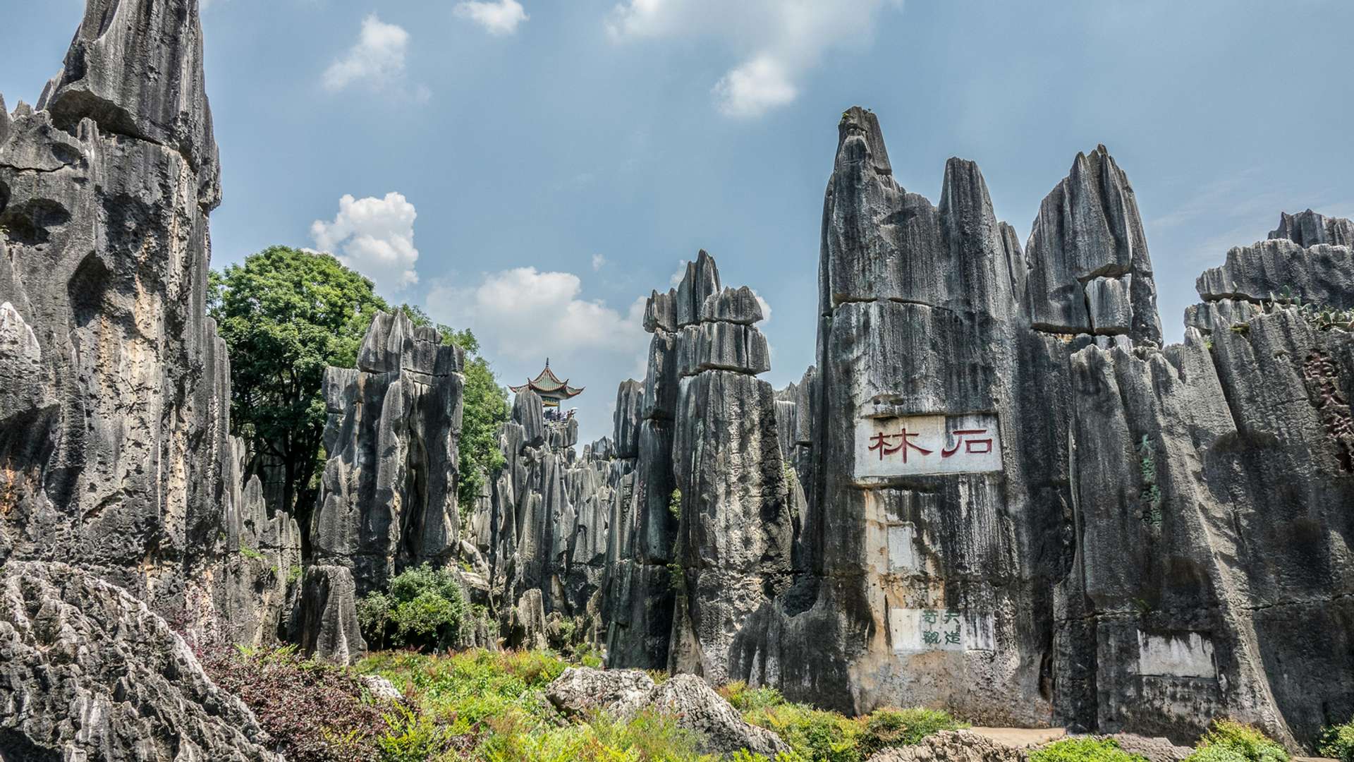 Kunming Tours and Trips