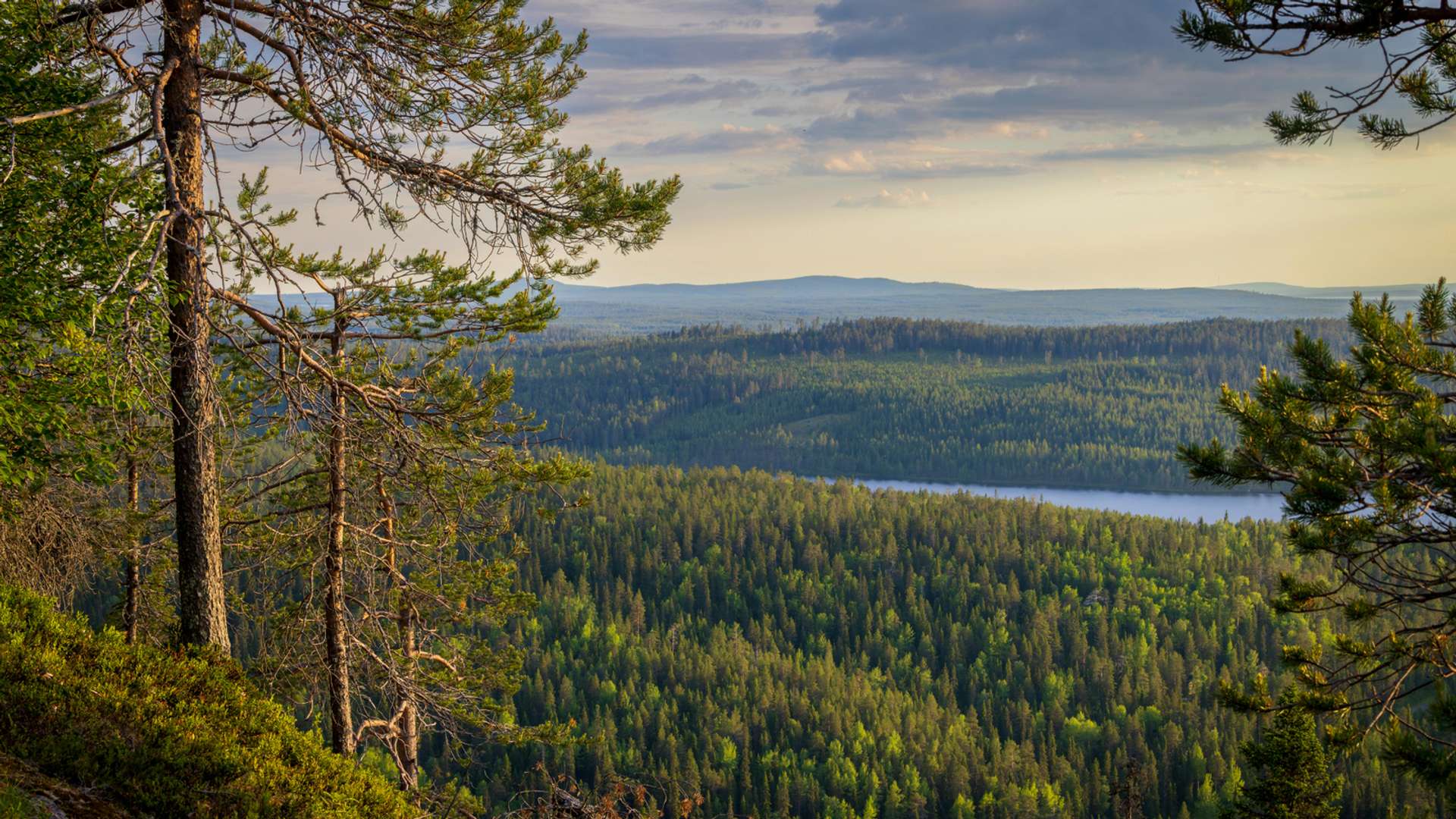Kuusamo Tours and Trips