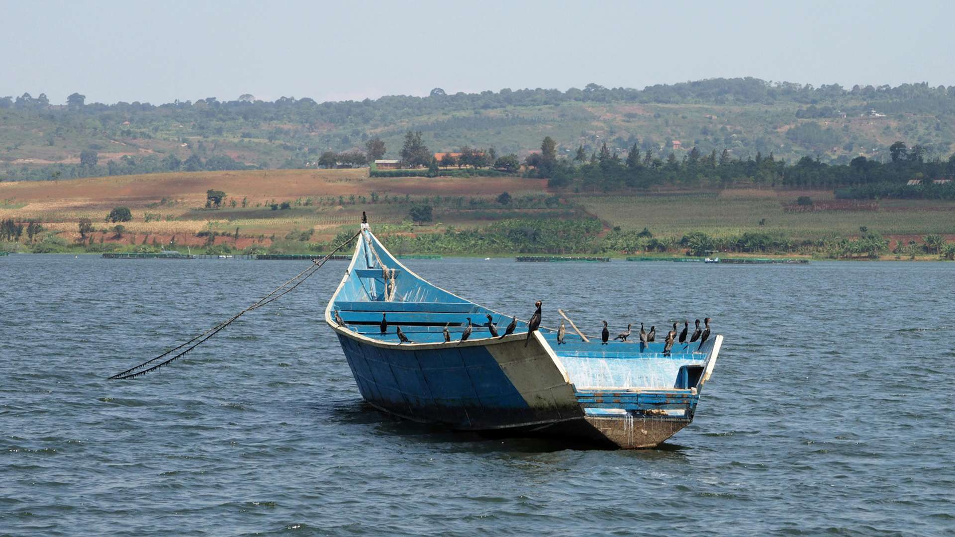 Lake Bunyonyi Tours and Trips