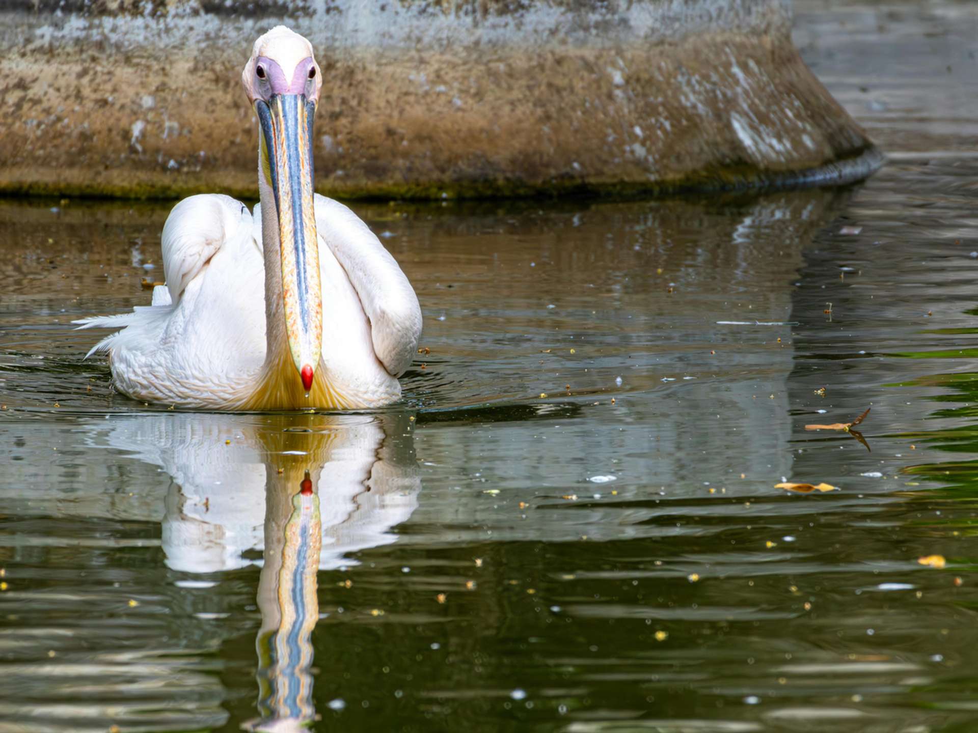 10 Best Lake Eyasi Multiday Tours in November 2026