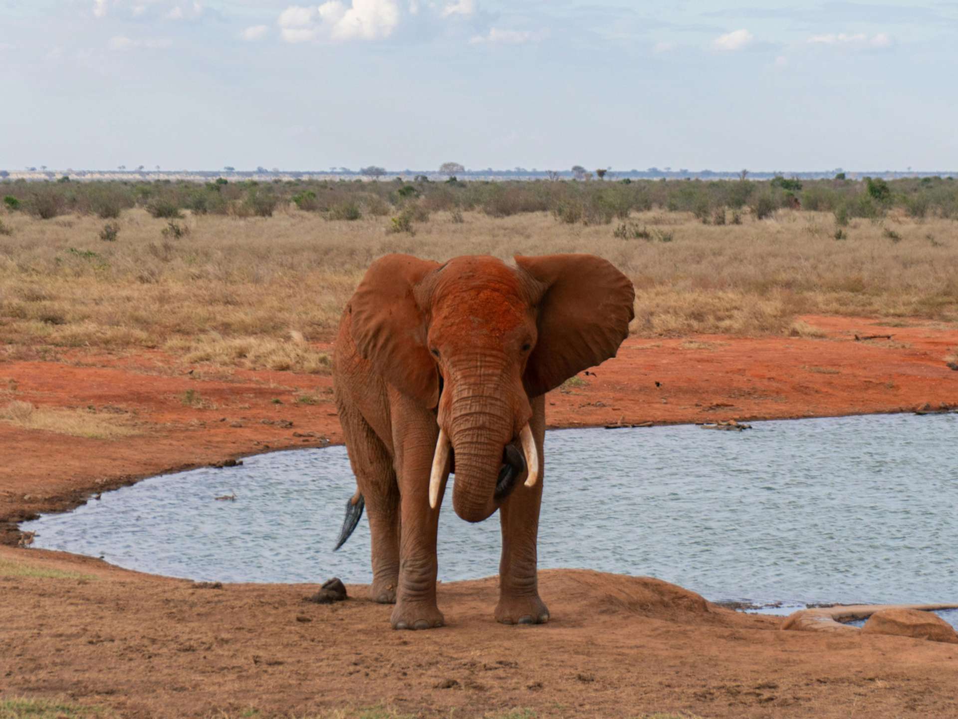 10 Best Tours and Trips in Lake Naivasha in 2025/2026 - Compare Prices