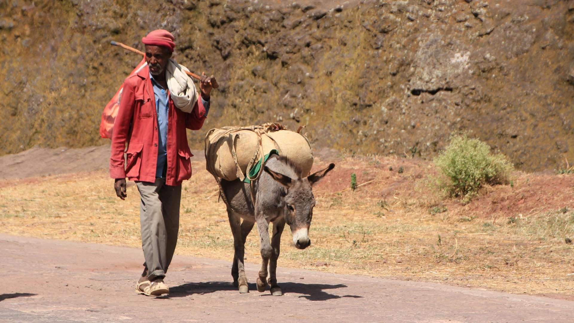 Lalibela Tours and Trips