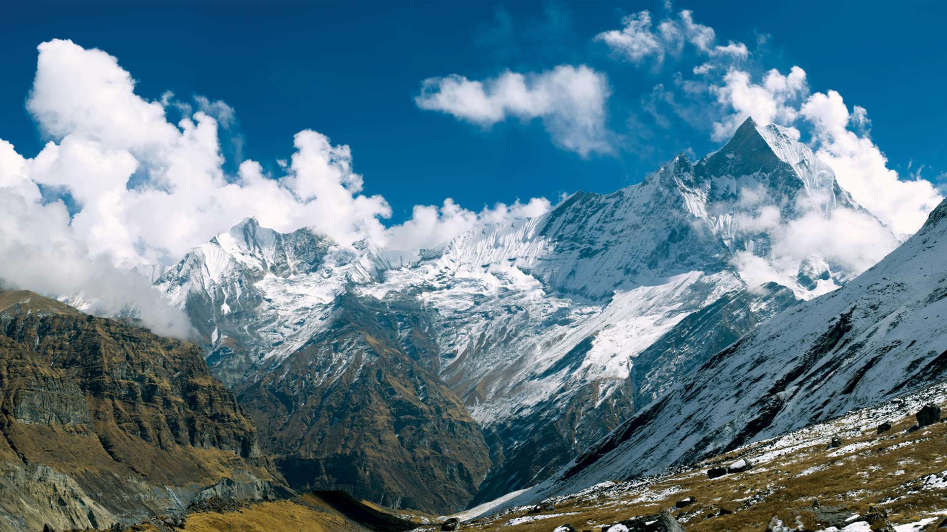 Langtang trek Tours in Spring