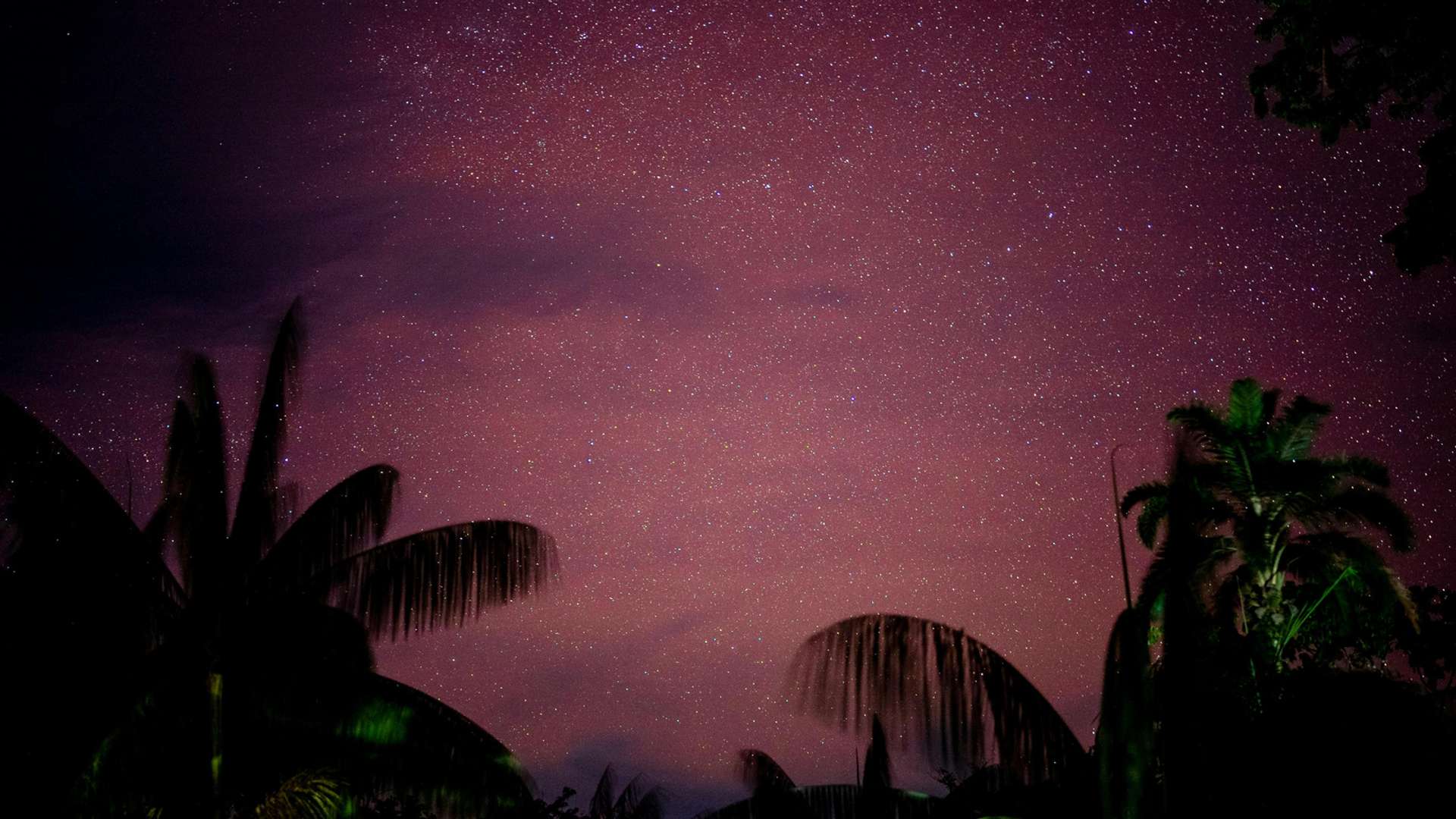 Leticia Tours and Trips