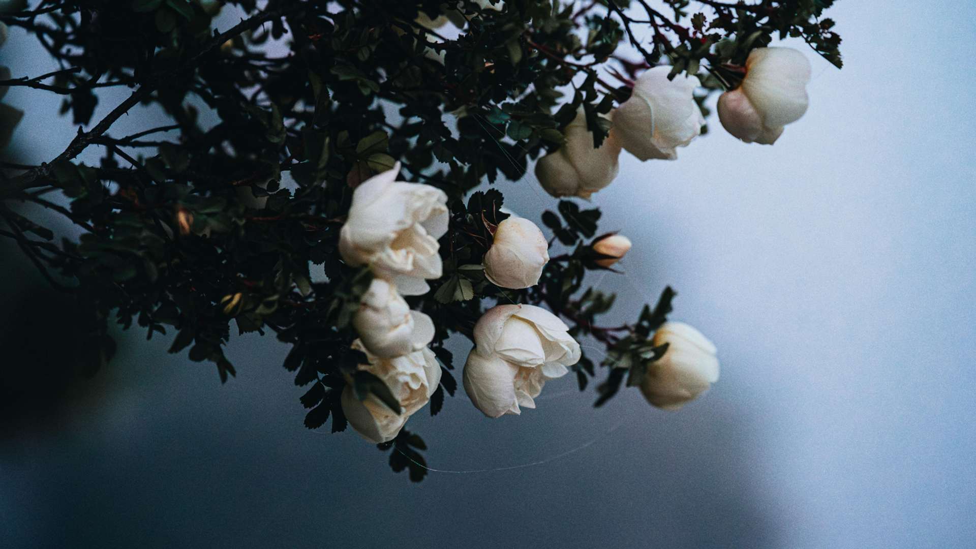 Liepaja Tours and Trips