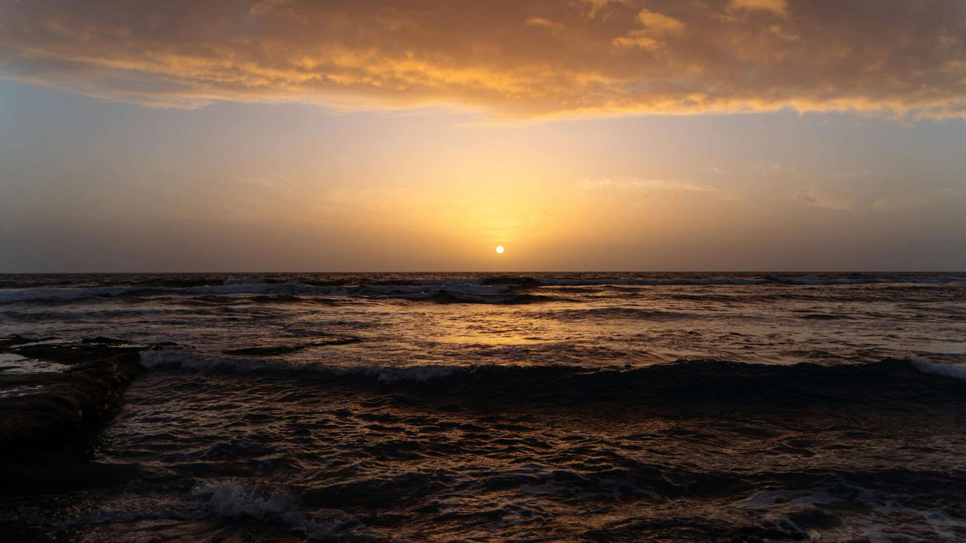 Los Cristianos , Tenerife Tours and Trips