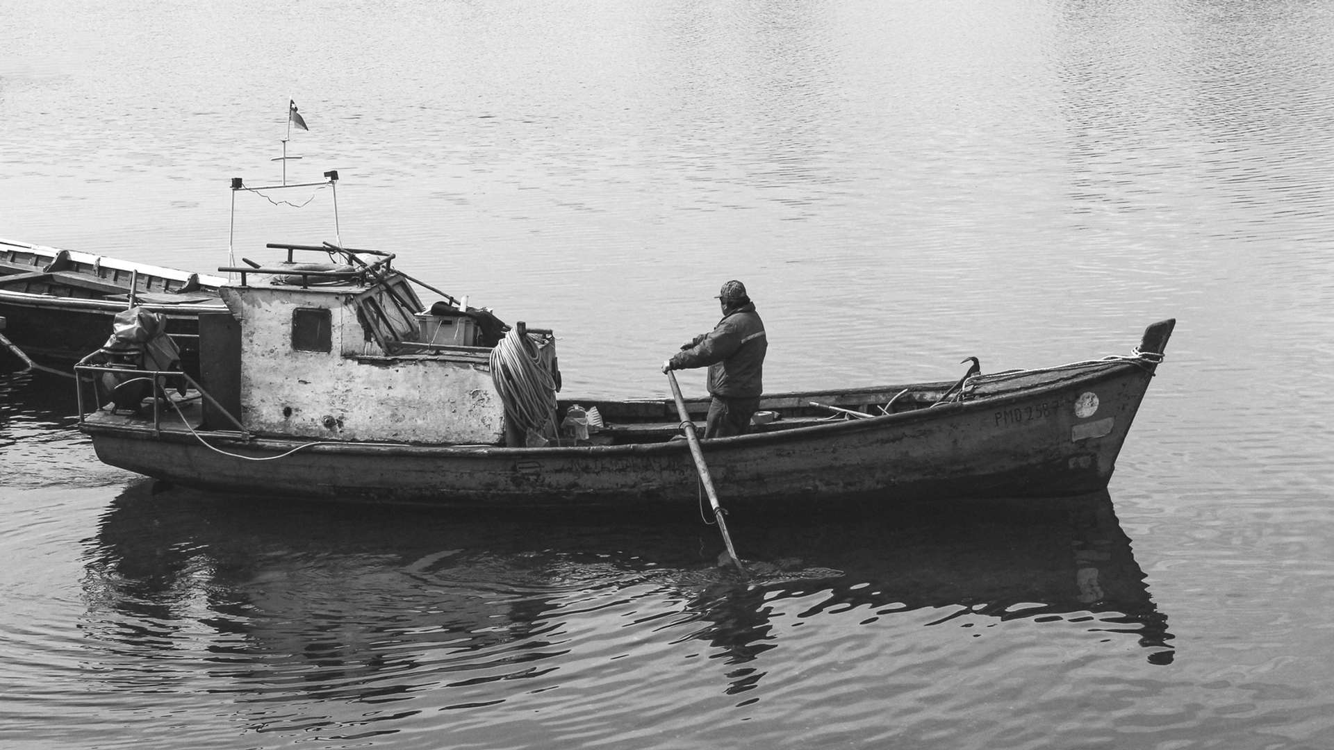 Los Lagos Tours and Trips