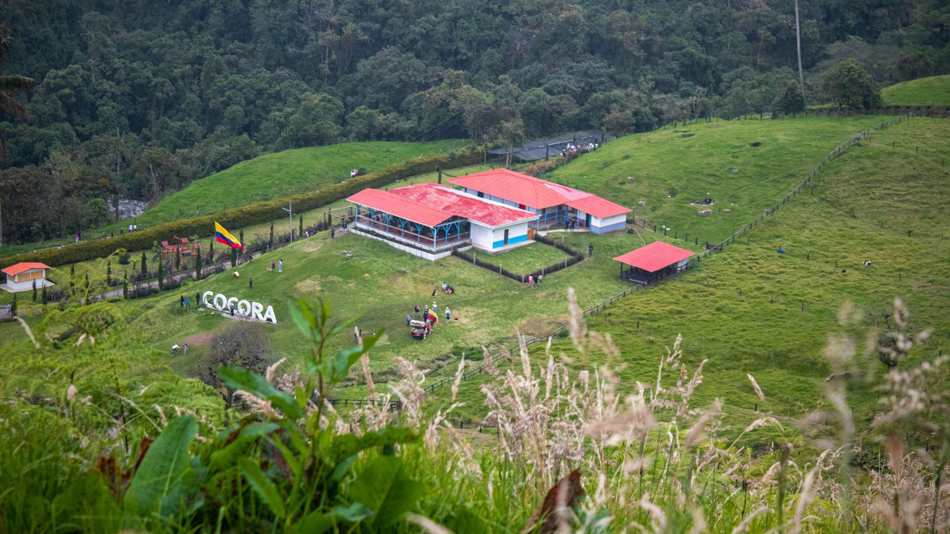 Los Nevados National Park Tours and Trips