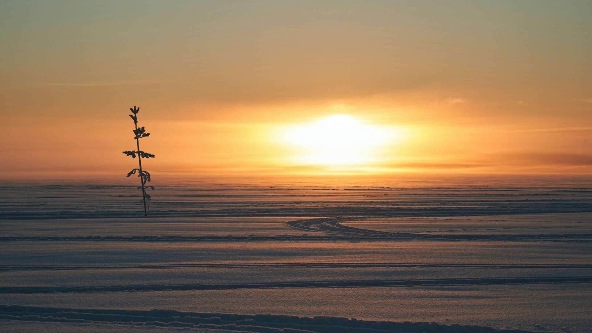 Lulea Tours and Trips