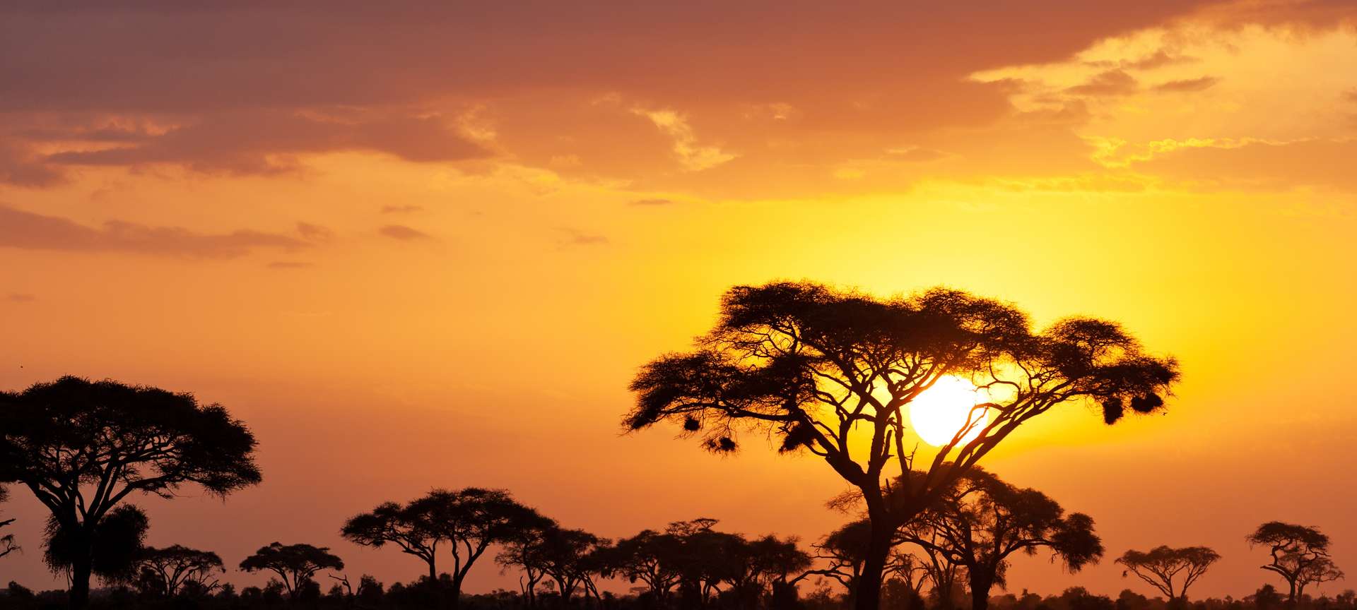Maasai Mara National Reserve Tours and Trips