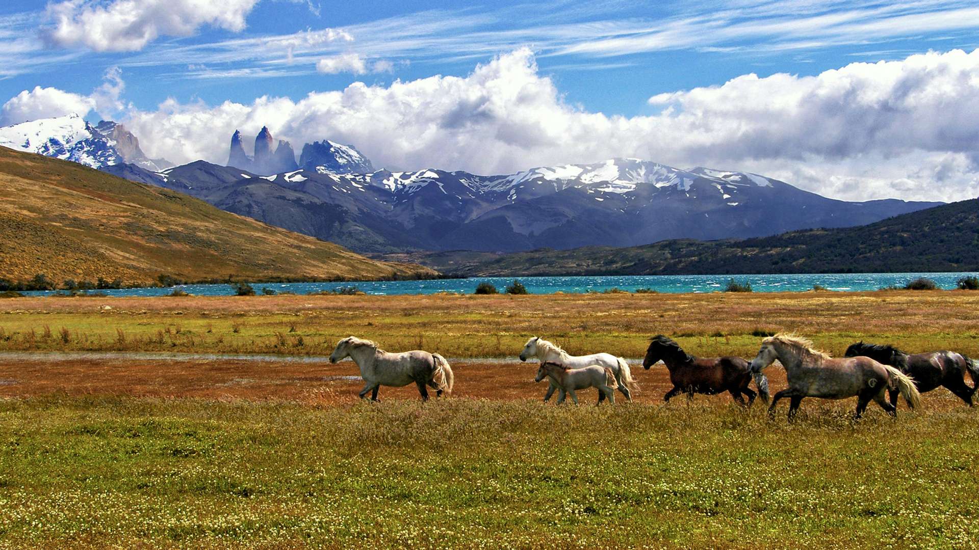 Magallanes Tours and Trips