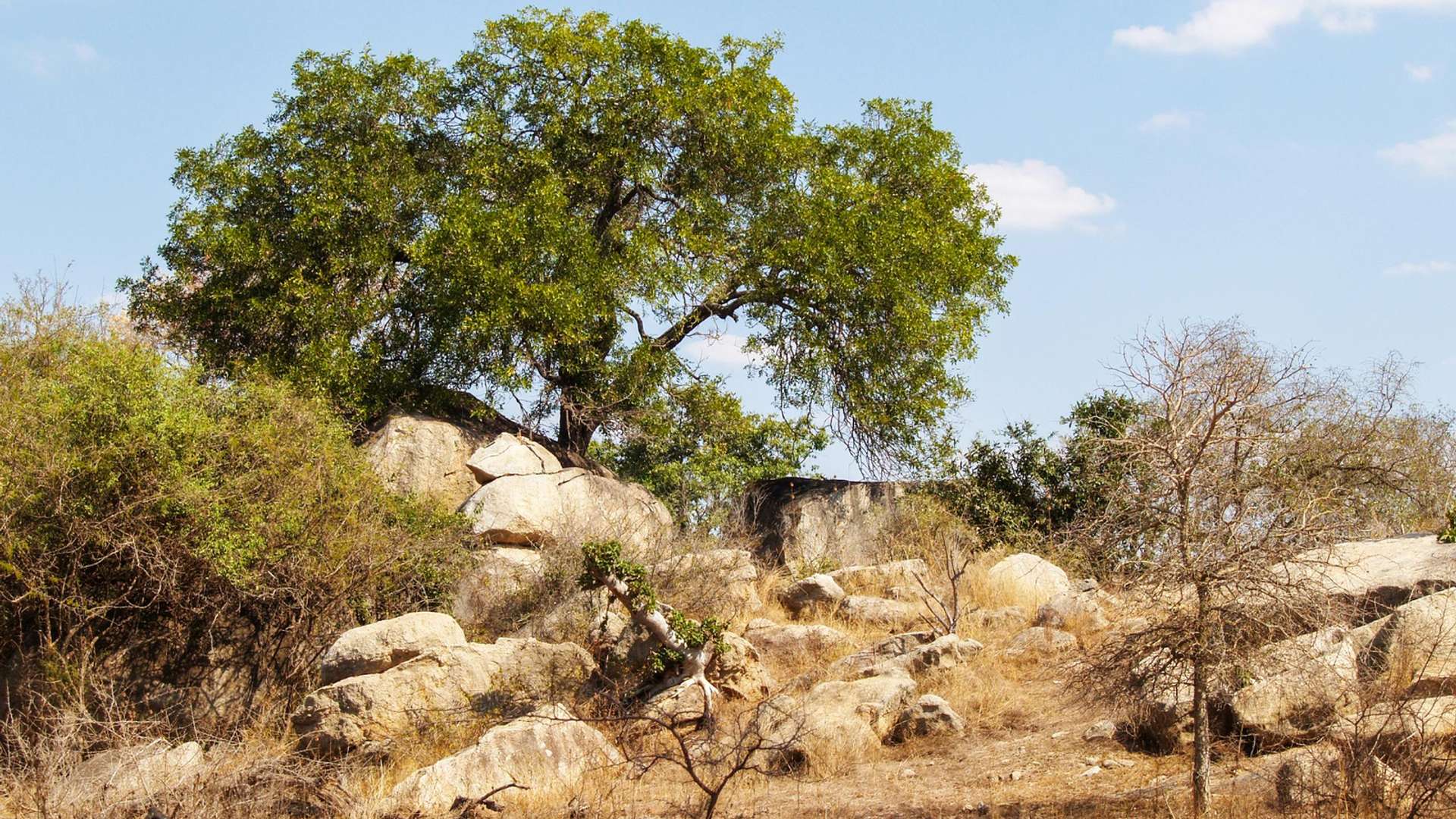Mapungubwe National Park