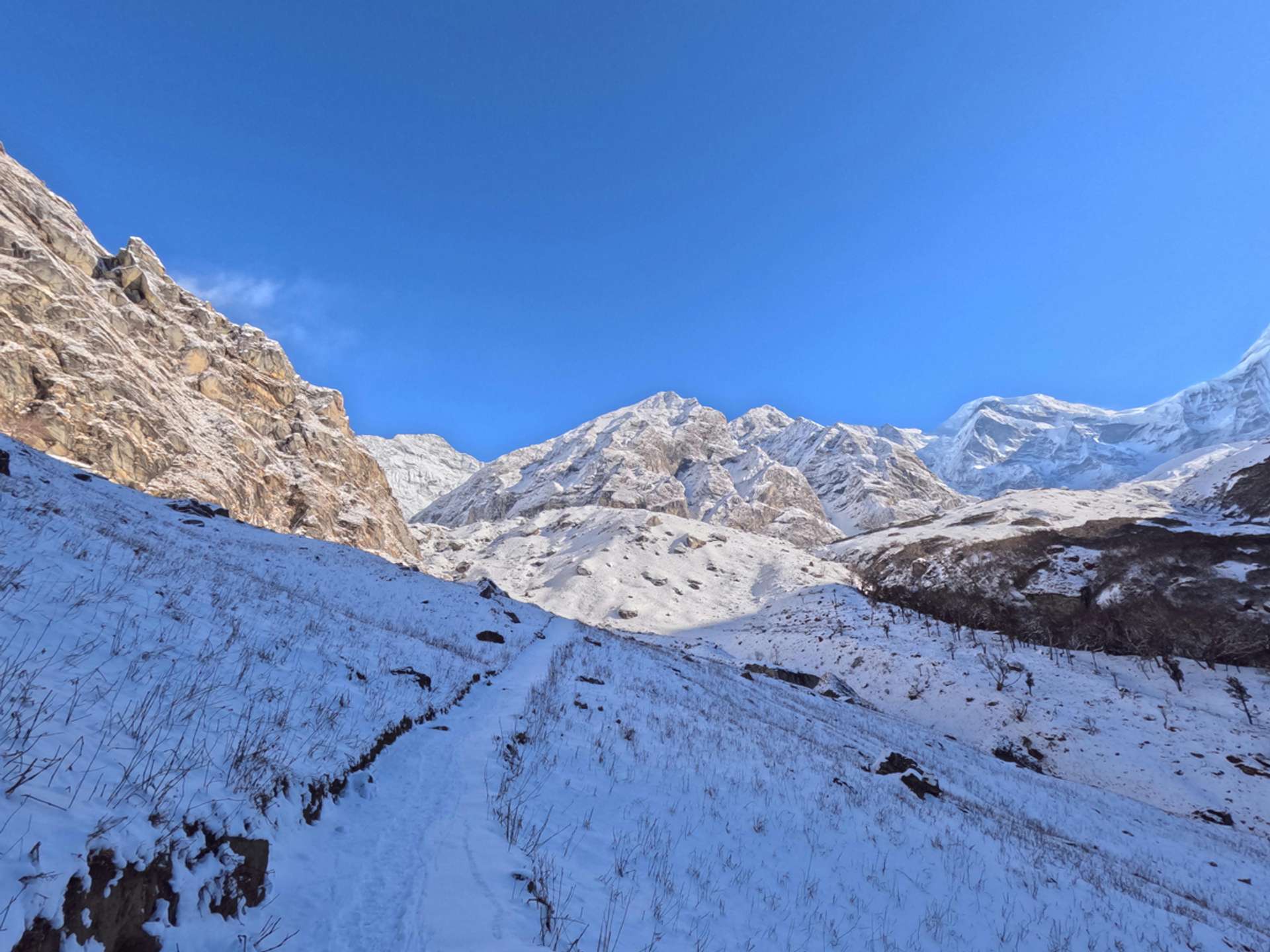 10 Best Tours and Trips in Mardi Himal Trek in 2025/2026 - Compare Prices