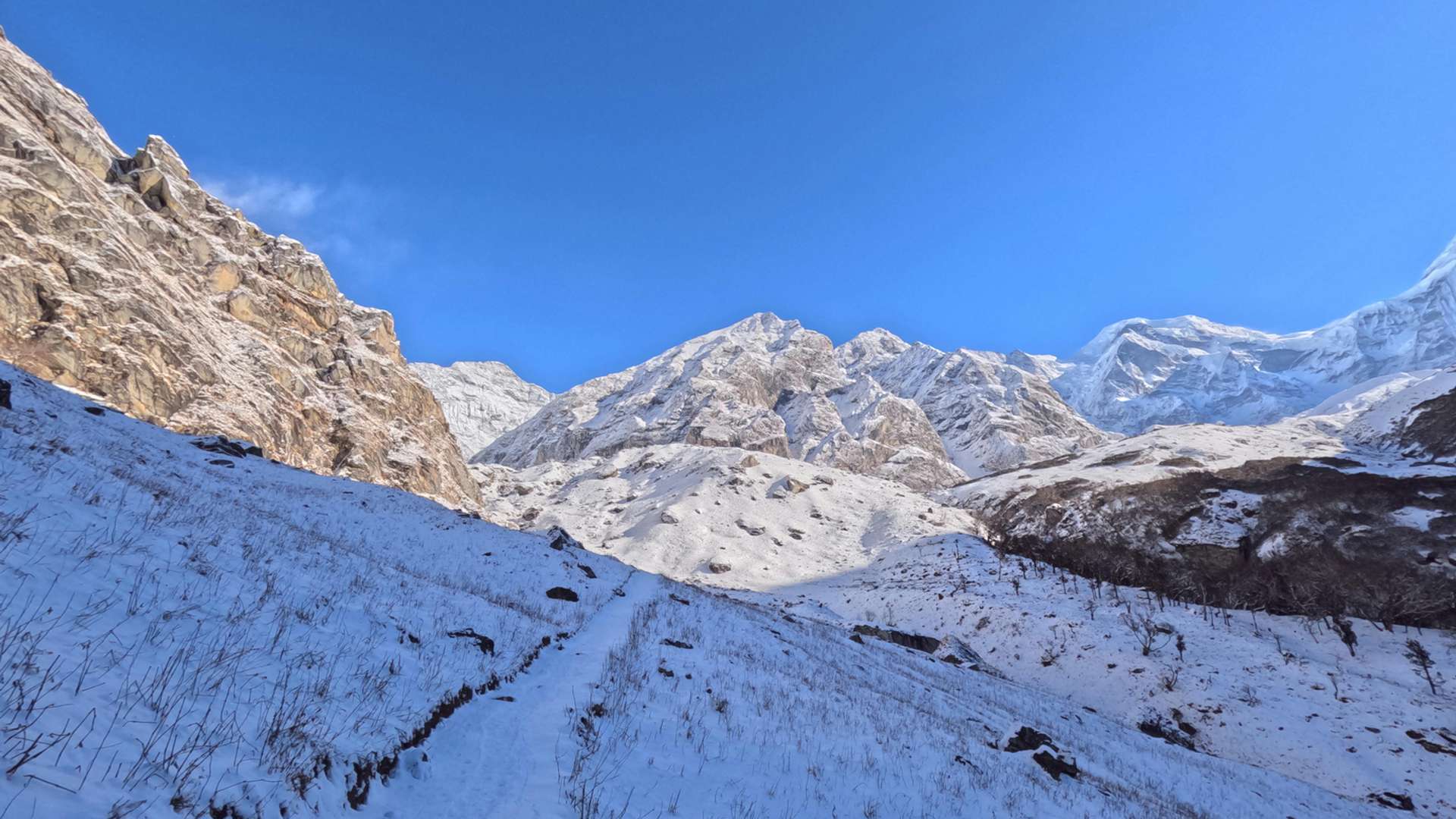 Mardi Himal Trek Tours and Trips