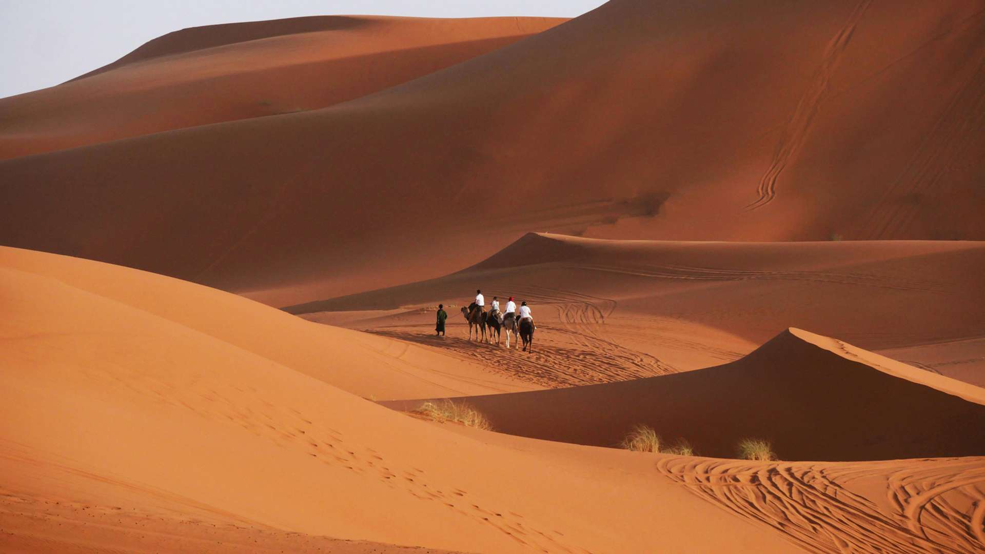 Marrakesh Tours and Trips