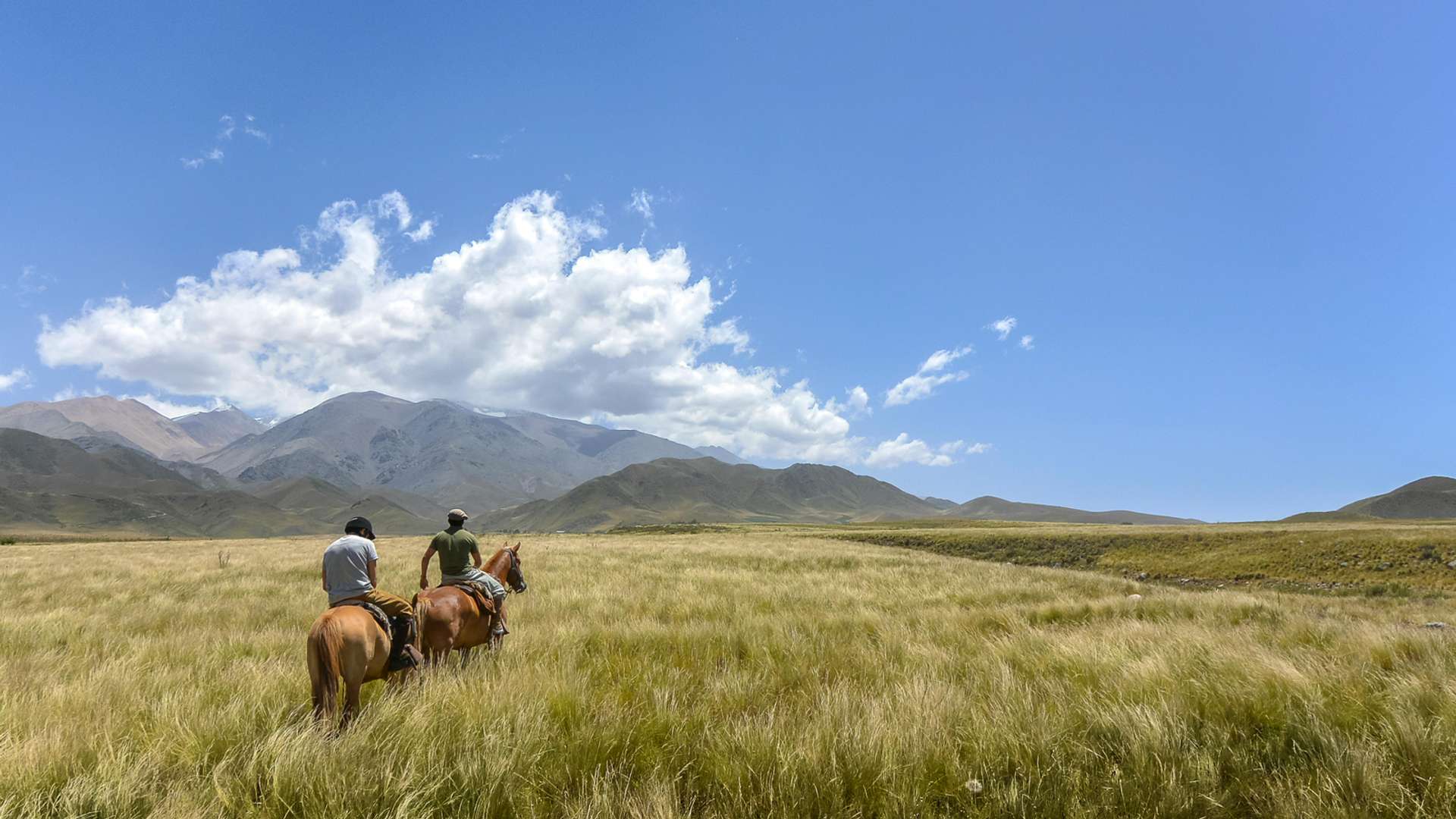 Mendoza Explorer Trips