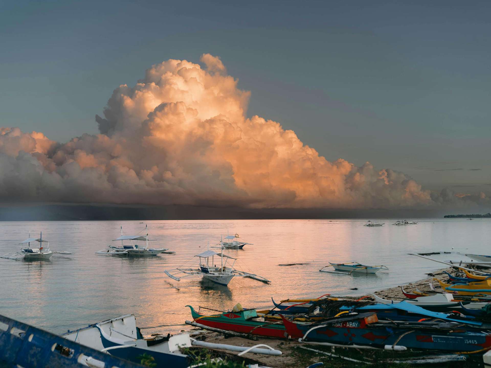 10 Best Tours and Trips in Moalboal in 2025/2026 - Compare Prices