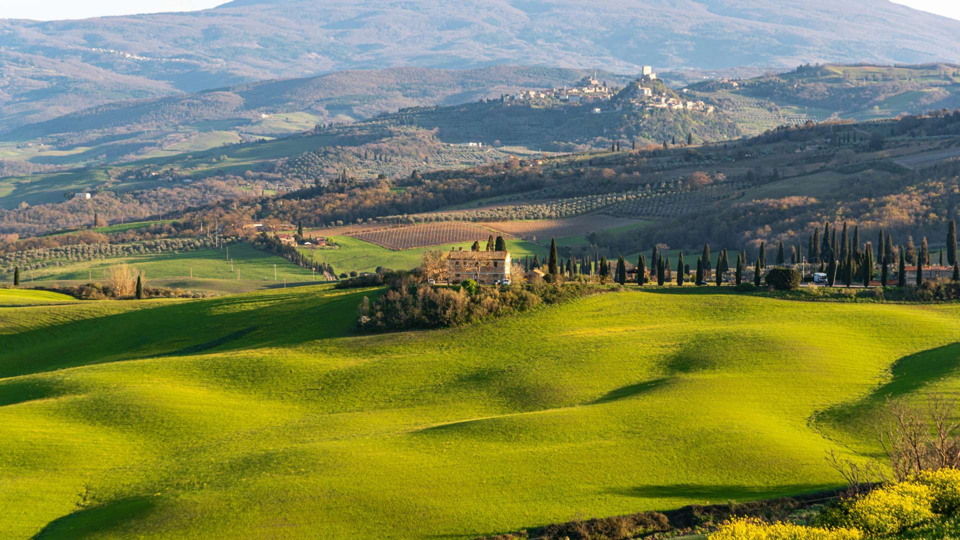 Montepulciano Tours in Summer