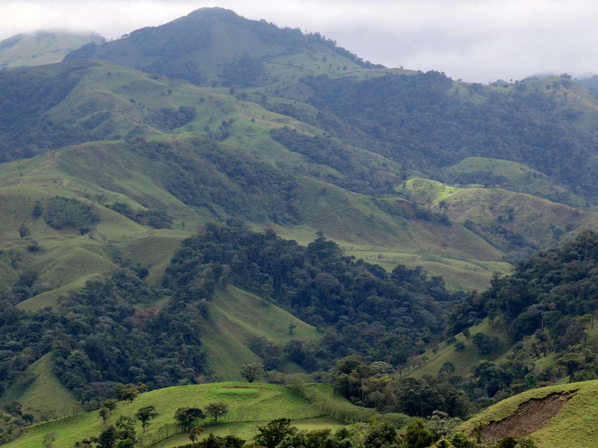 Monteverde Cloud Forest Biological Preserve Wildlife Trips in 2025/2026
