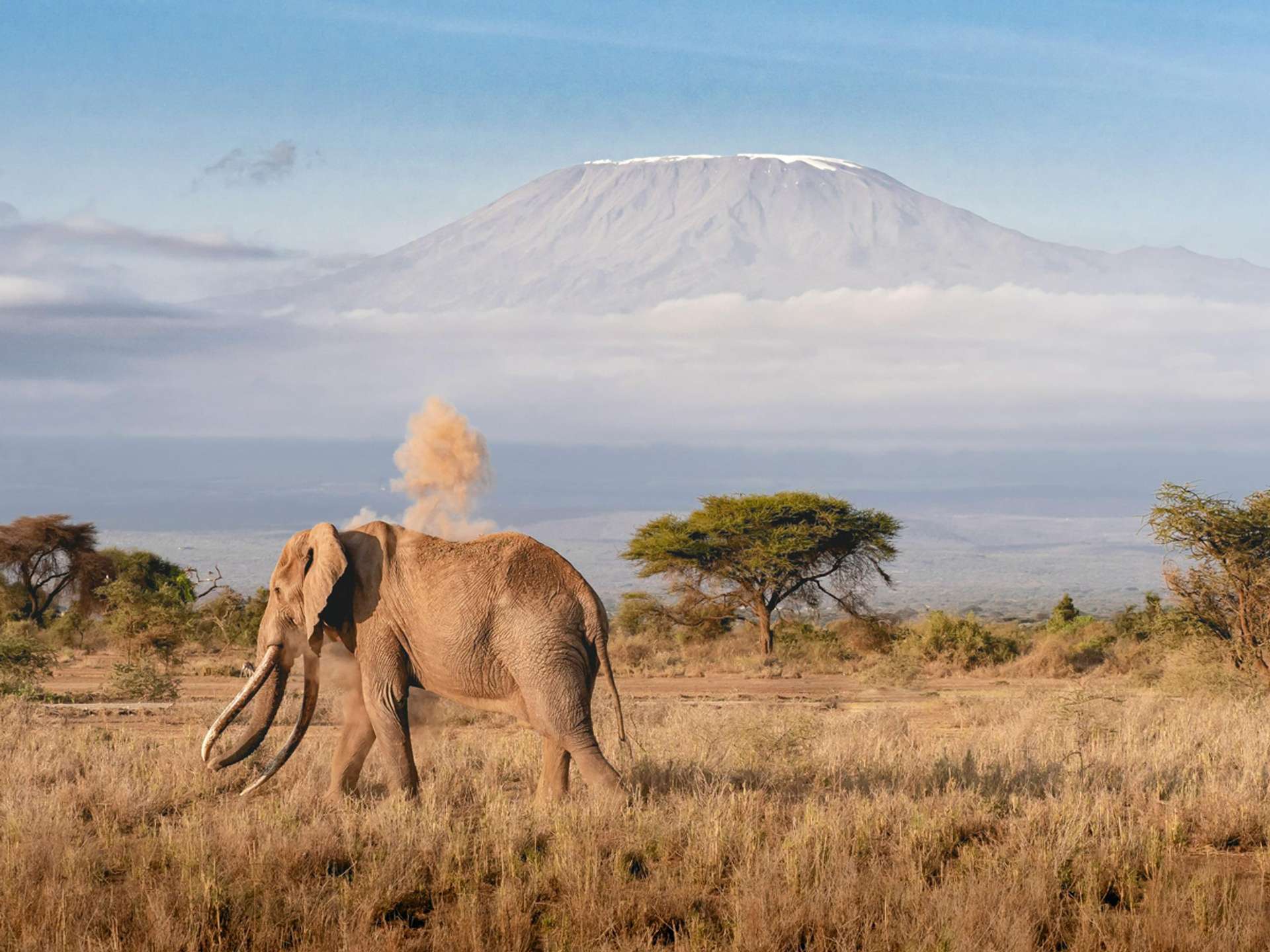 Moshi Climbing Trips in 2025/2026