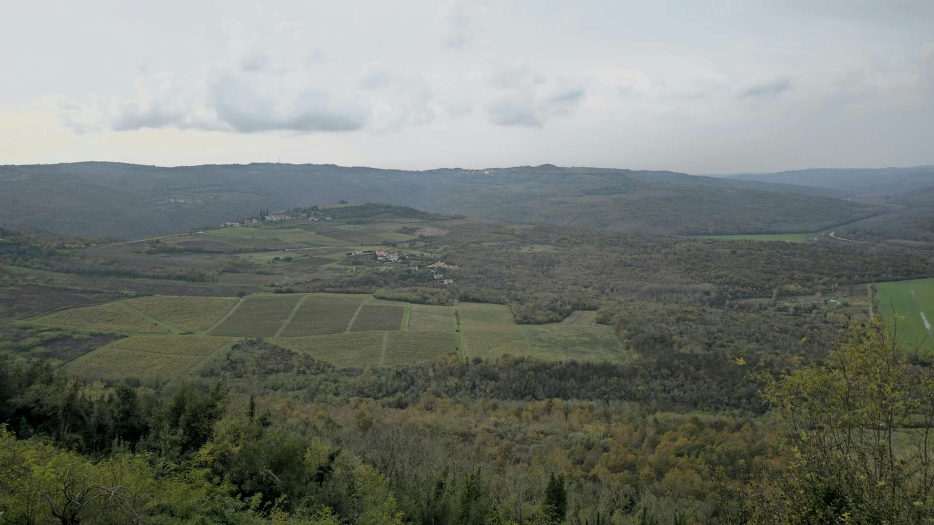Motovun Tours and Trips