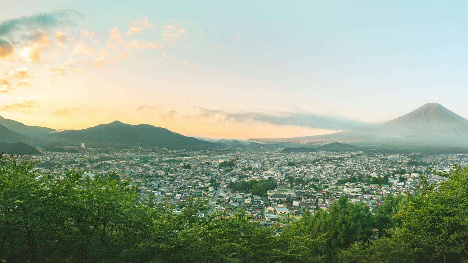 Mount Koya Tours and Trips