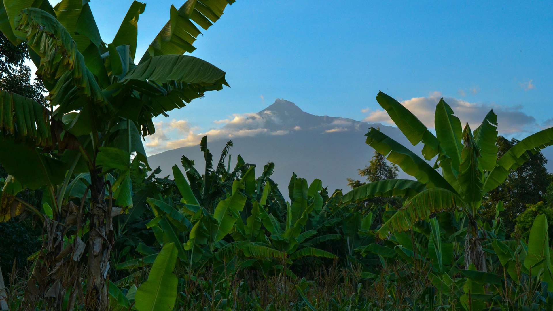 Mount Meru Tours and Trips