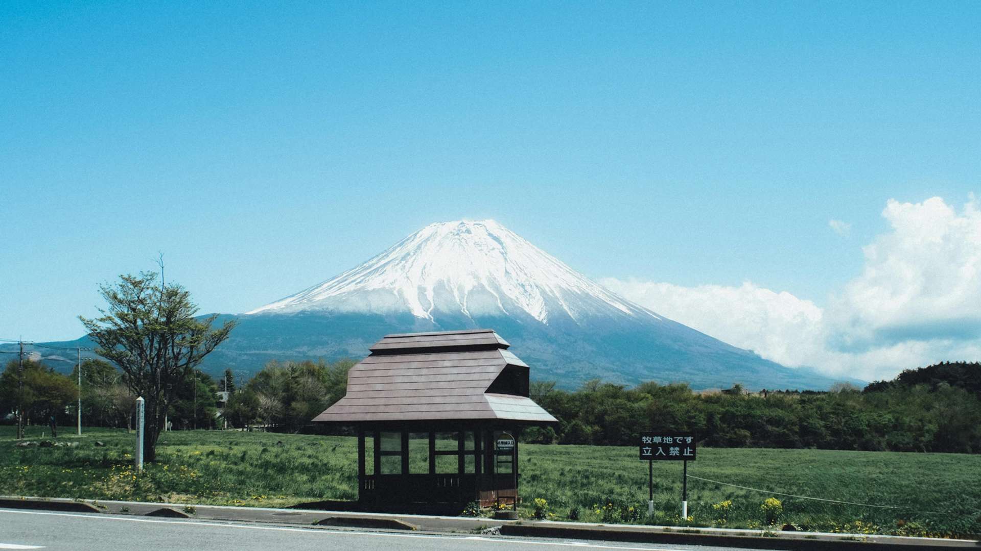 Mount Fuji Hikes and Tours