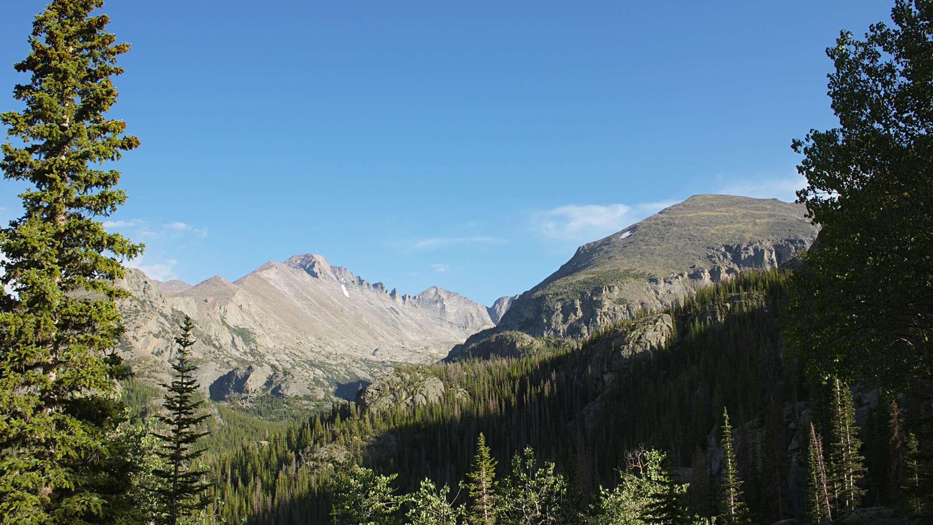 Muir Woods National Monument Tours and Trips