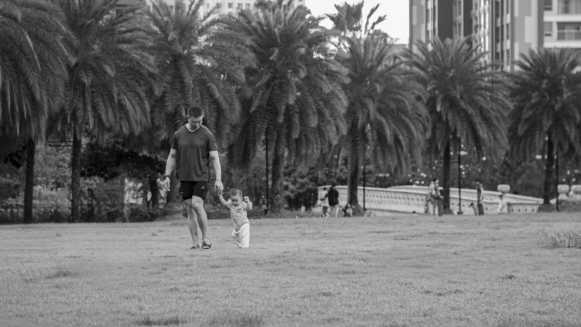 My Son Sanctuary Tours and Trips