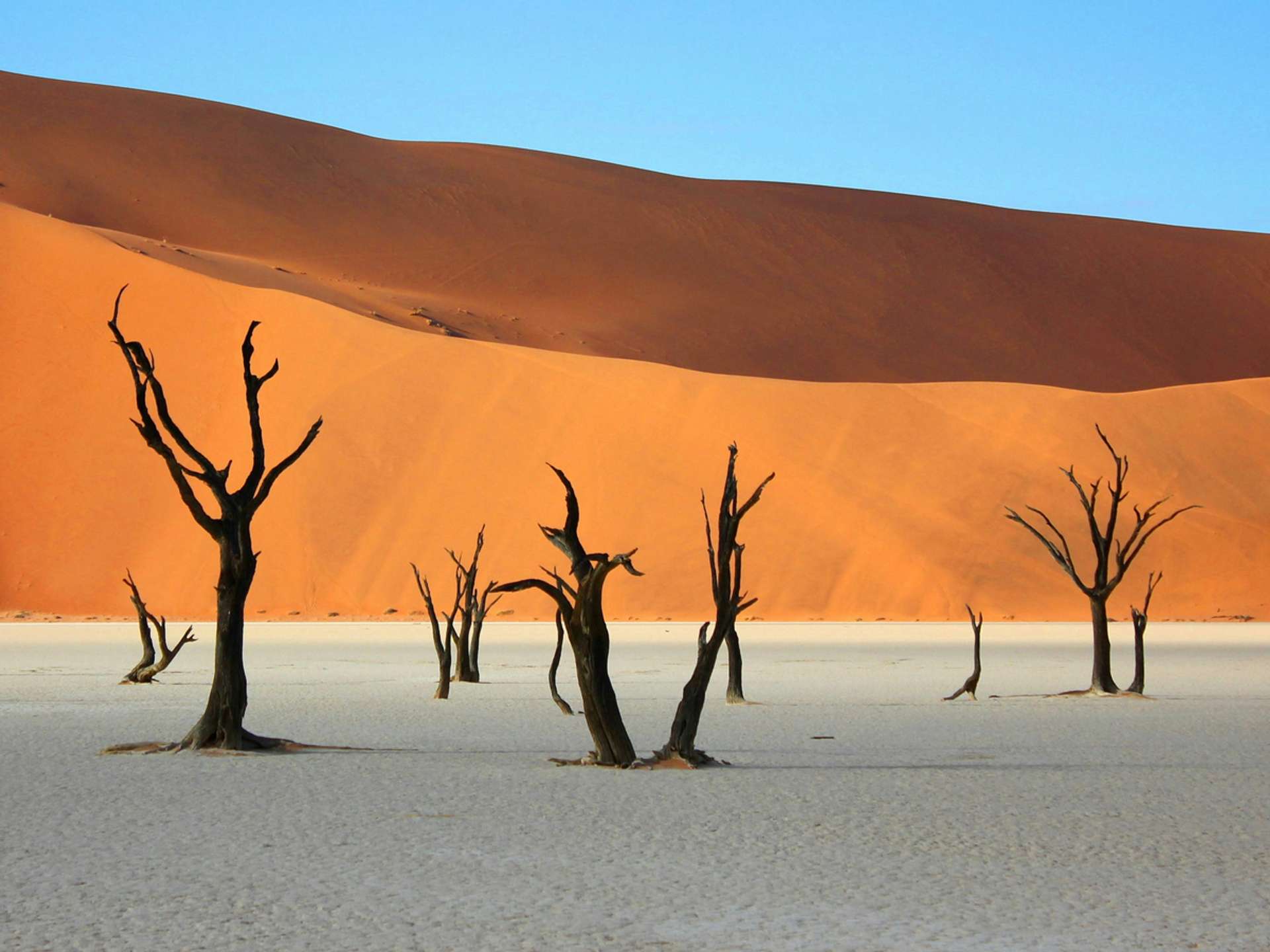 10 Best Tours and Trips in Namib Desert in 2025/2026 - Compare Prices