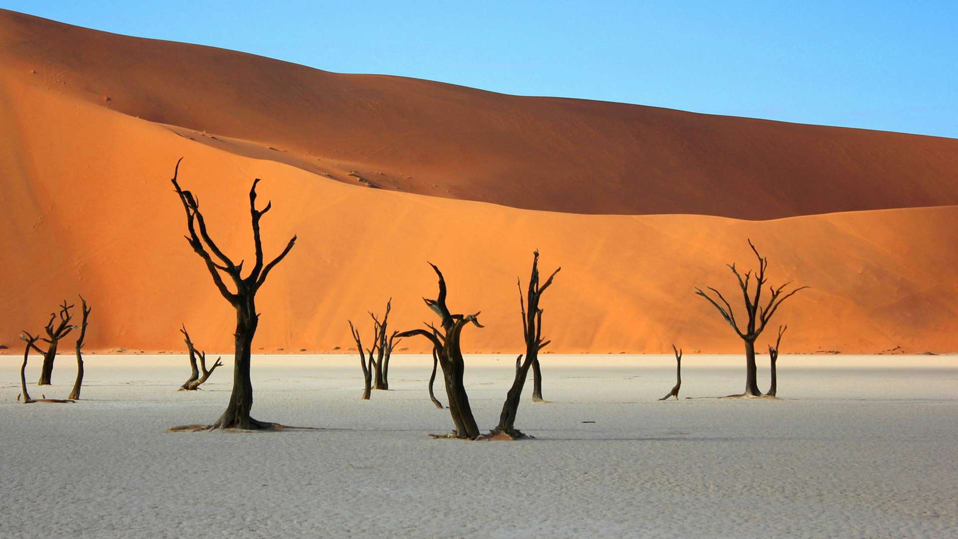 Namib Desert Tours and Trips