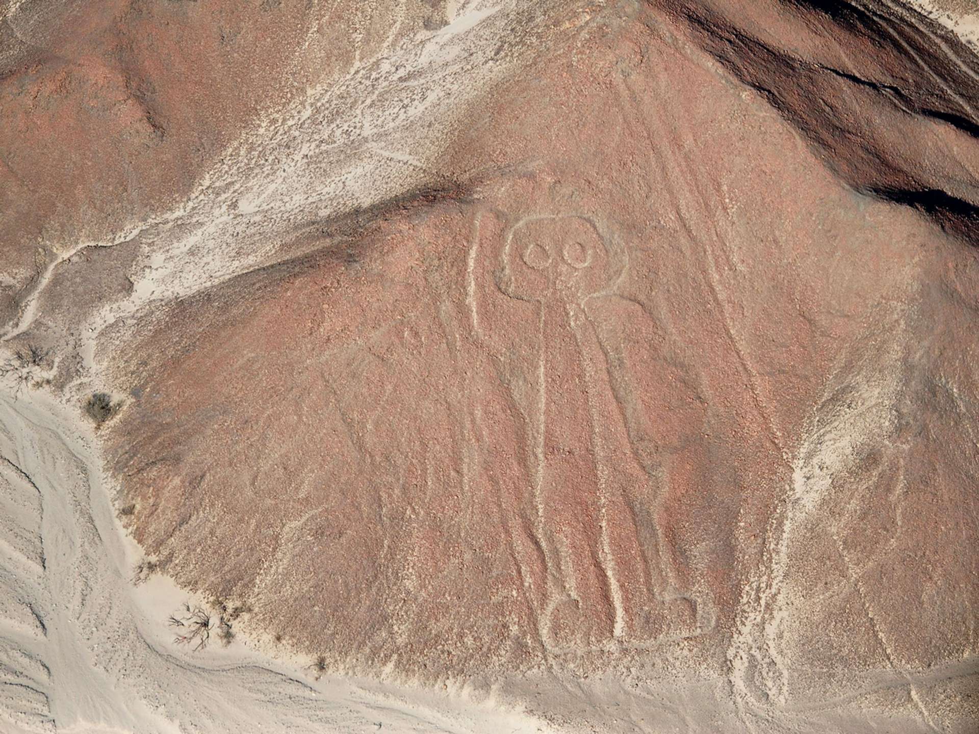 10 Best Tours and Trips in Nazca in 2025/2026 - Compare Prices