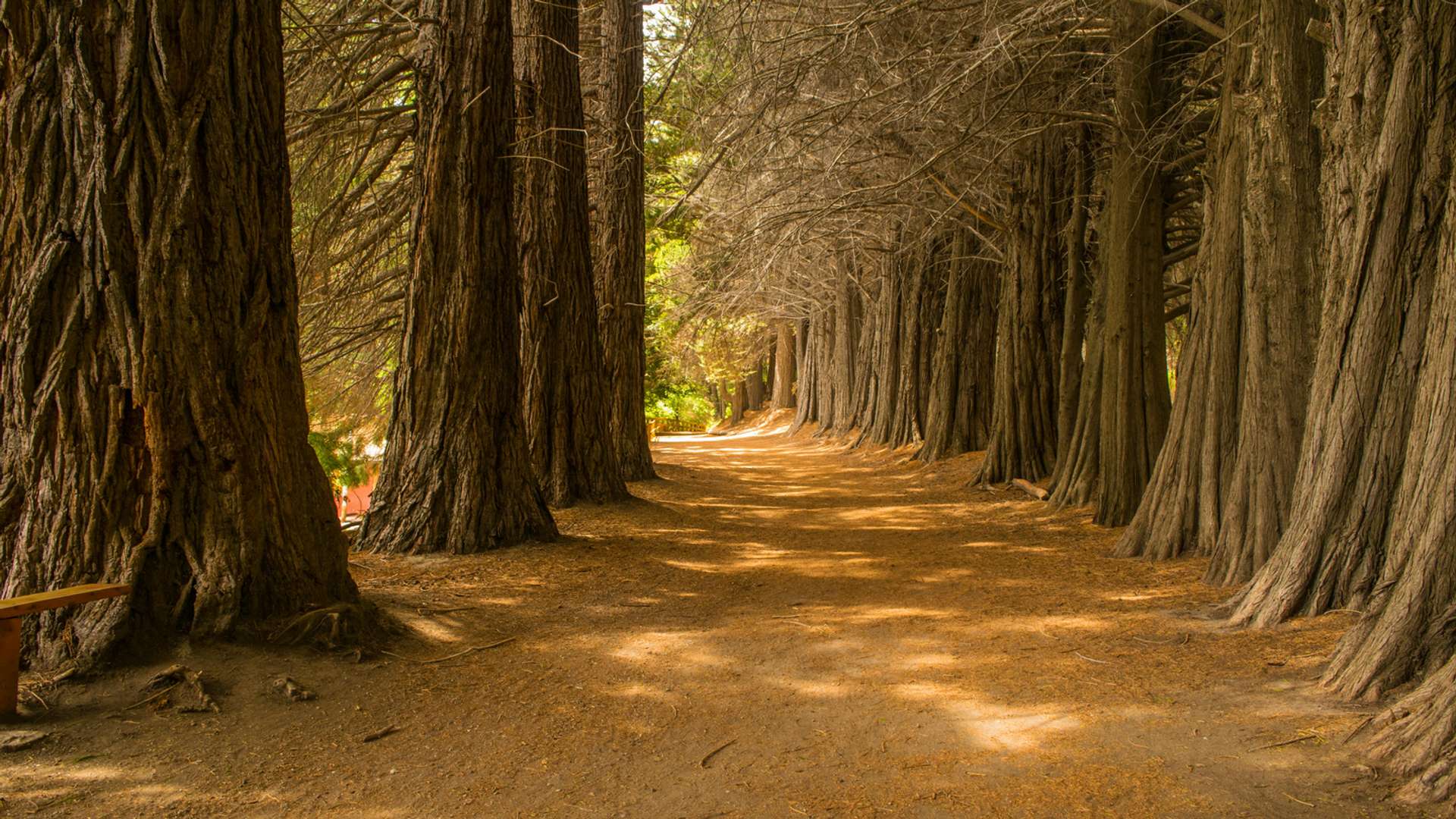 Neuquen Tours and Trips