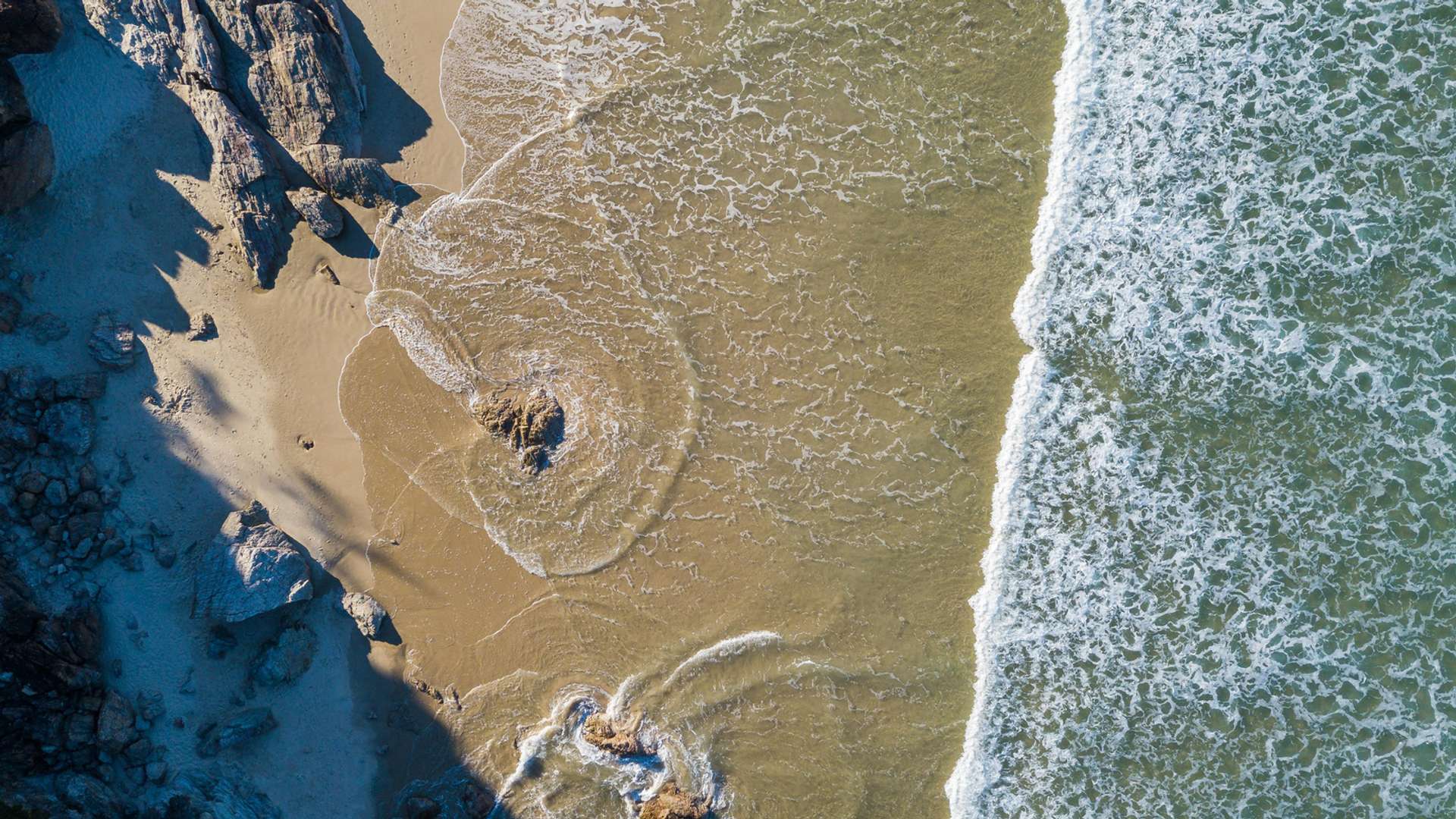 Newcastle Tours and Trips