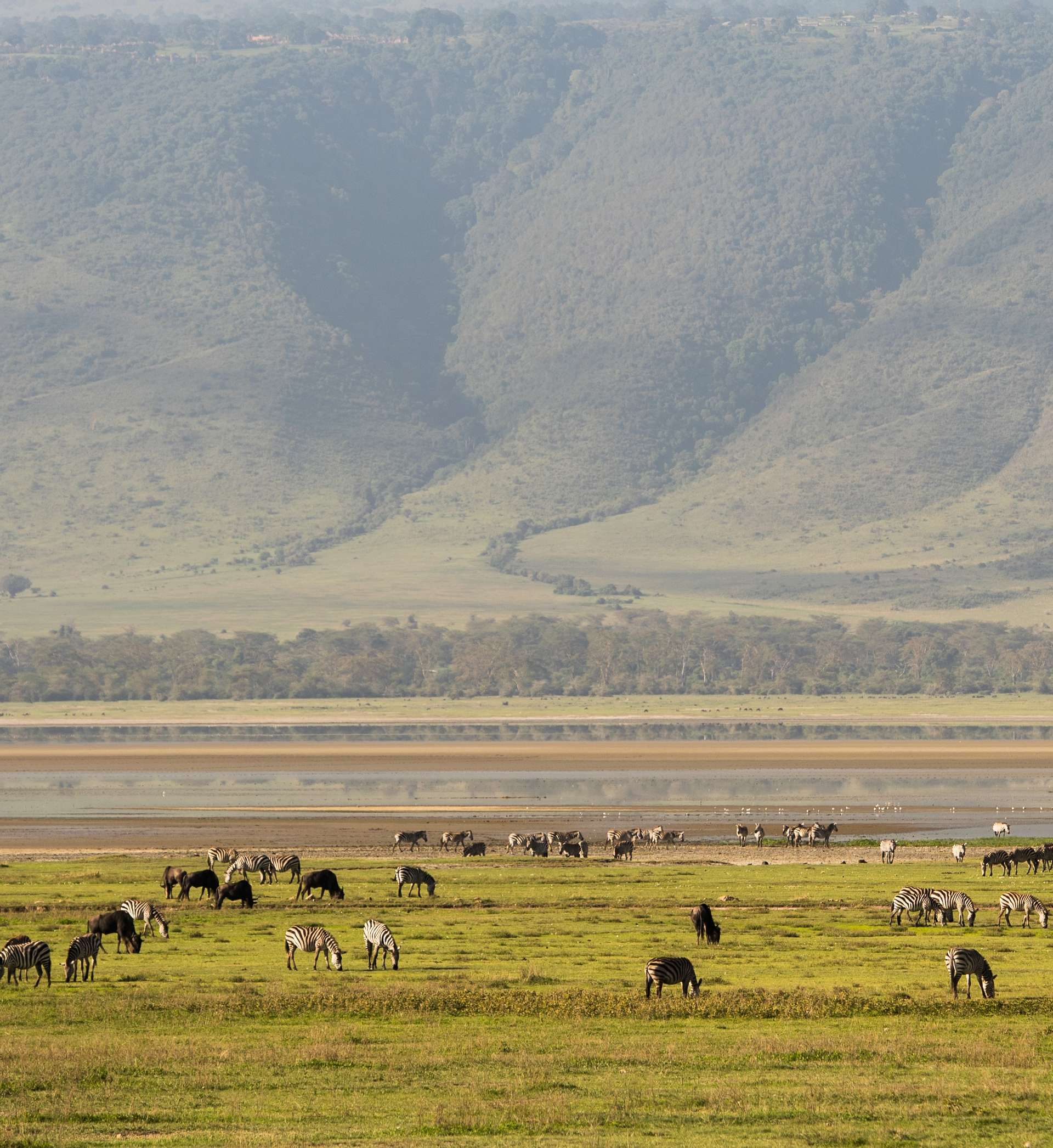 10 Best Tours and Trips in Ngorongoro Conservation Area in 2025/2026 - Compare Prices
