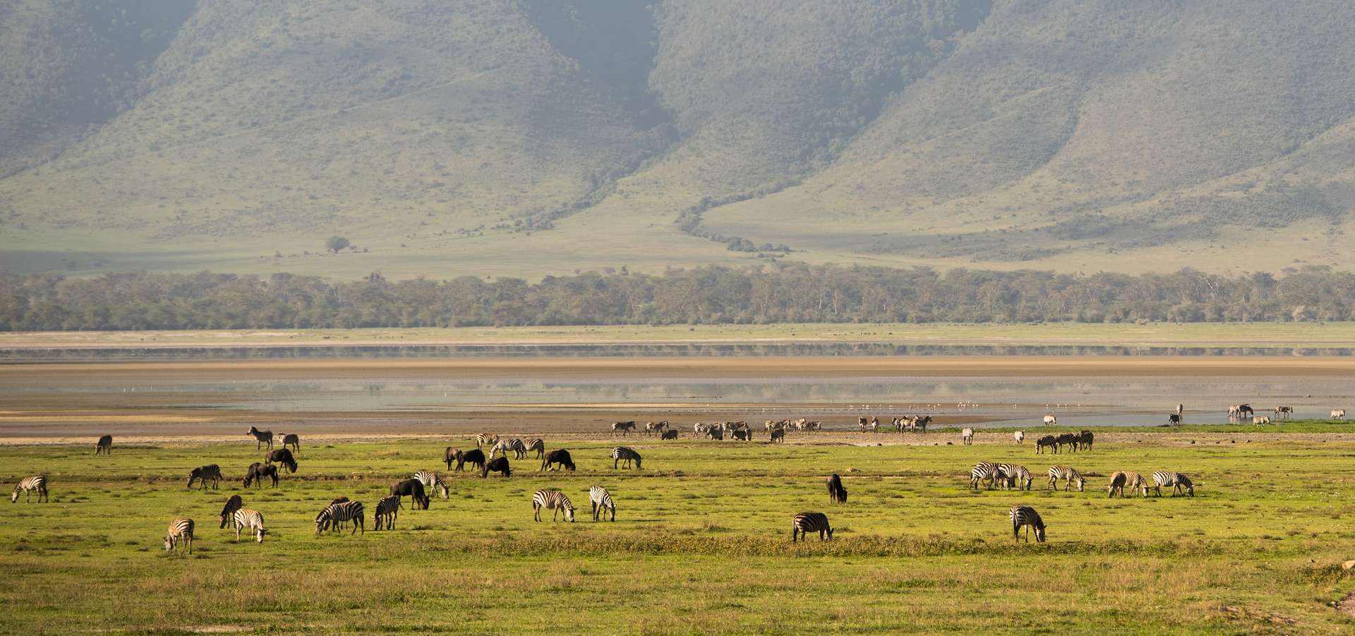 Ngorongoro Conservation Area Safari