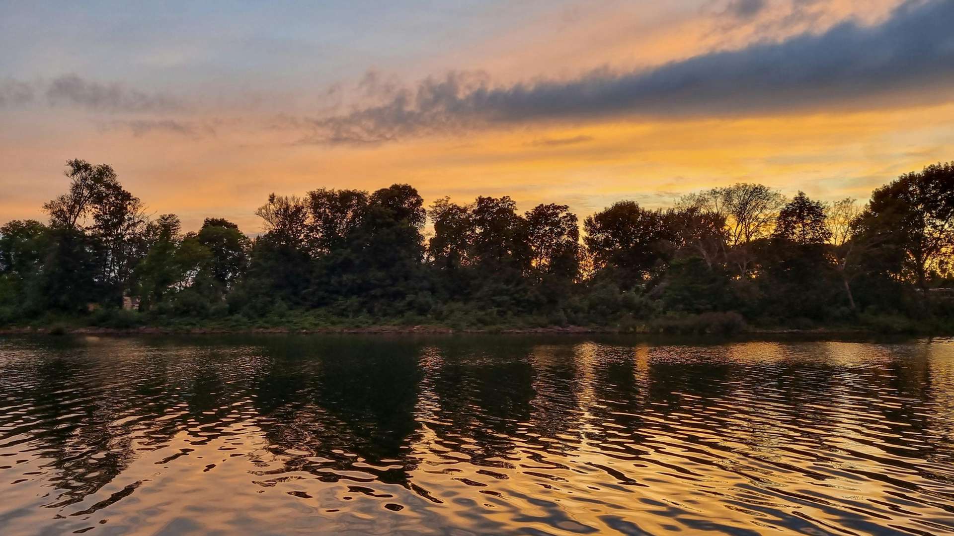 Nijmegen Tours and Trips