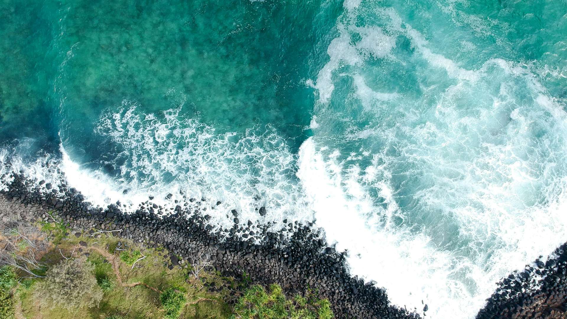 Ningaloo Reef Tours and Trips