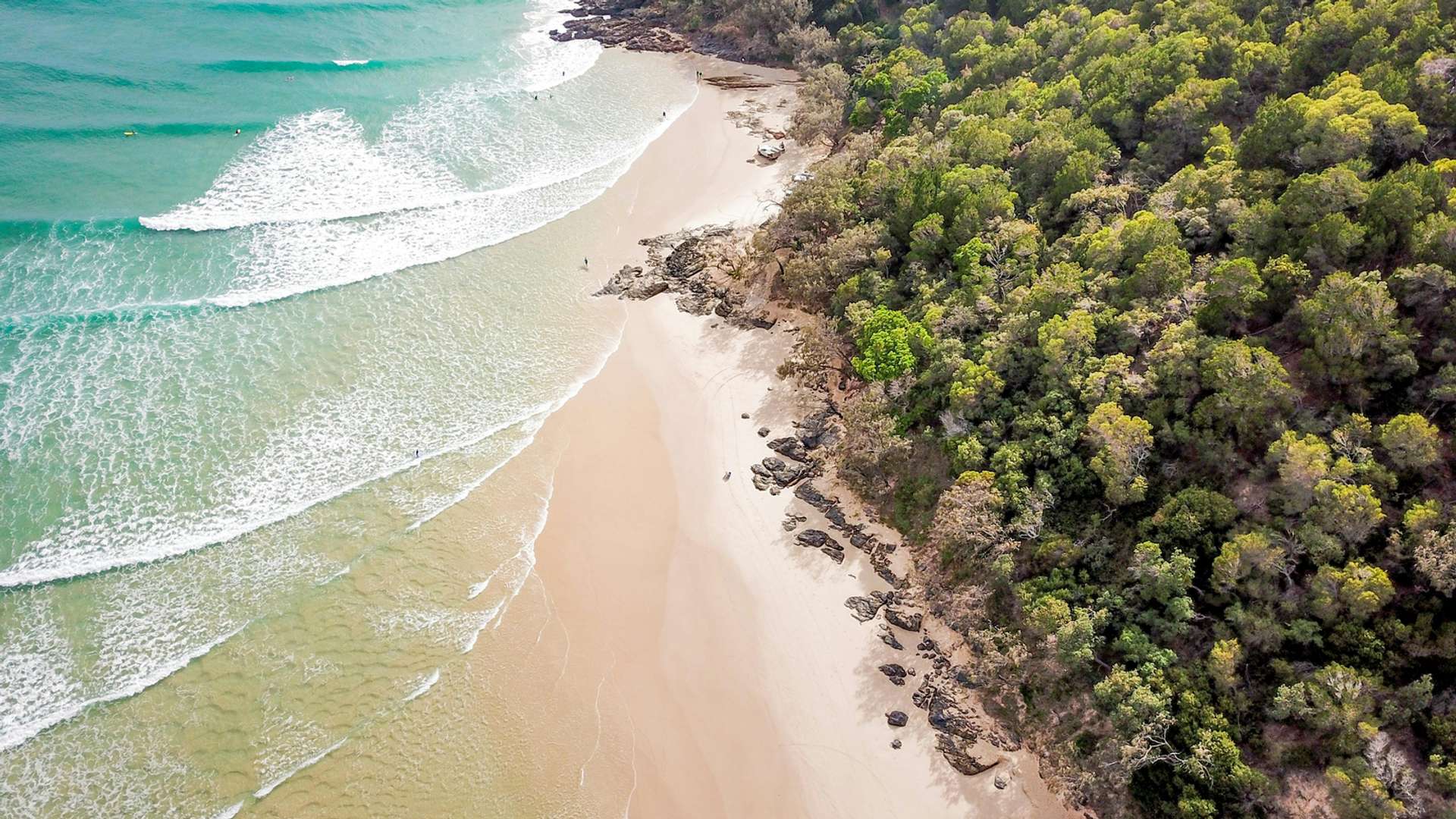 Noosa Tours in January 2026