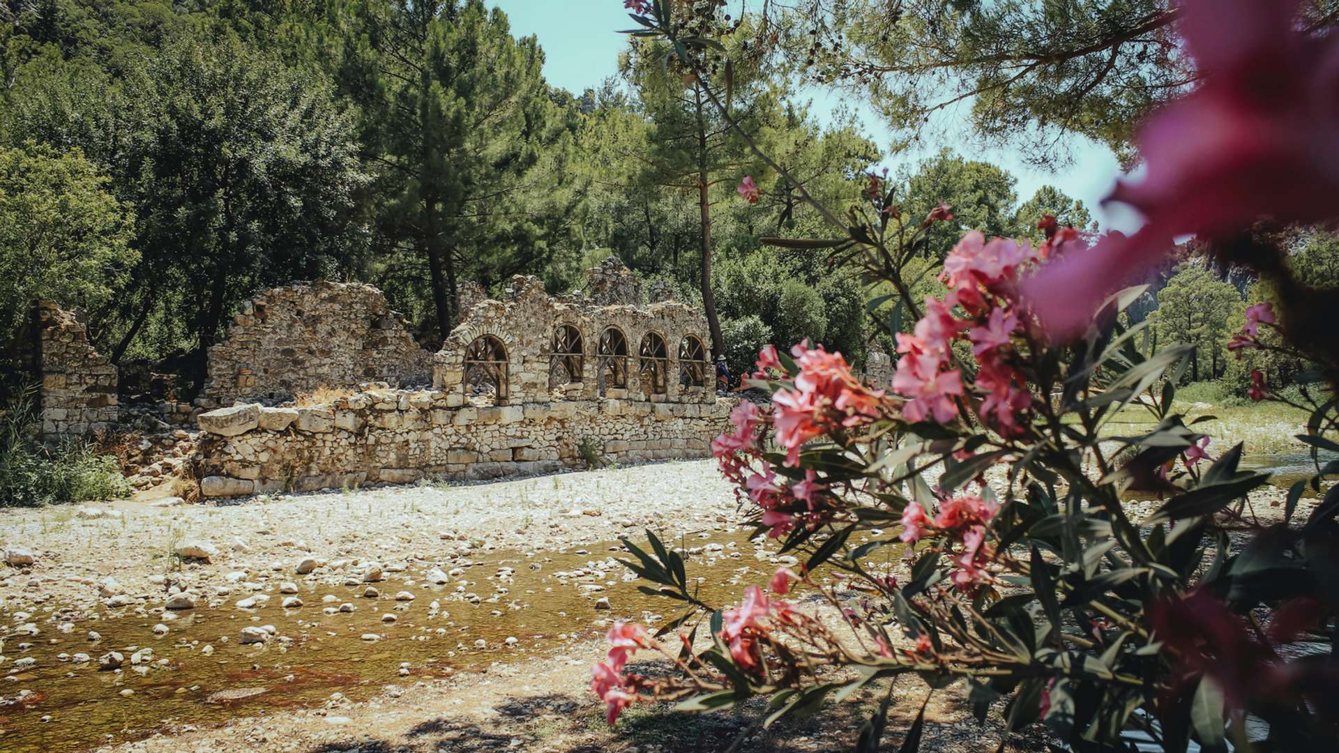 Olympos Tours and Trips