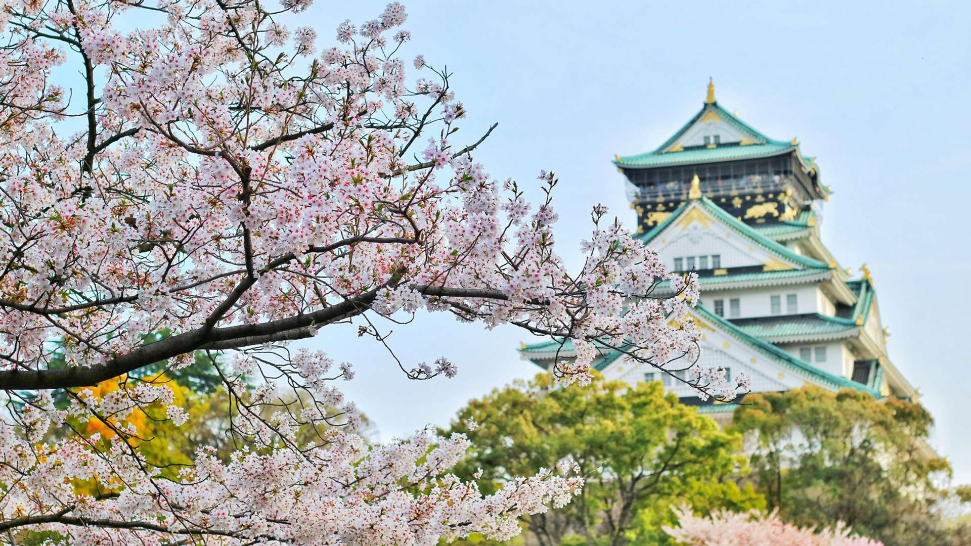 Osaka 13-Day Tours and Trips