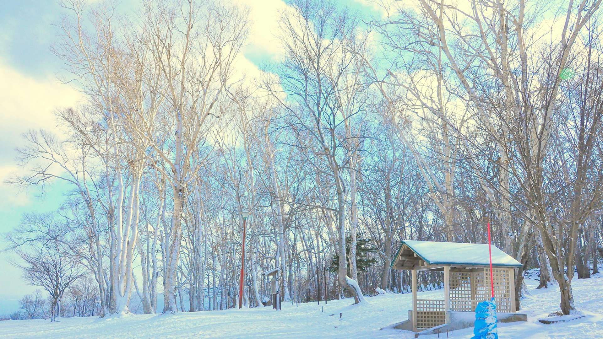 Otaru Tours and Trips