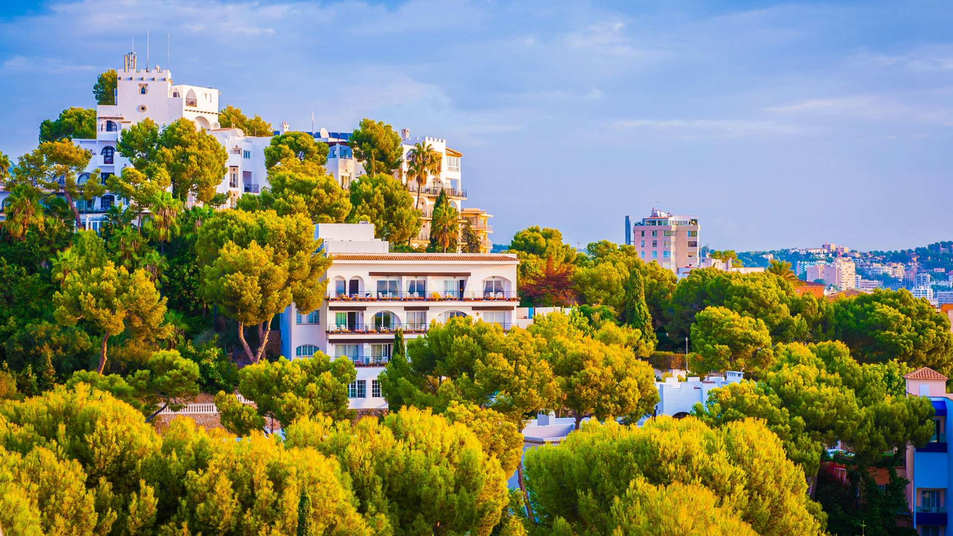 Palma Tours and Trips