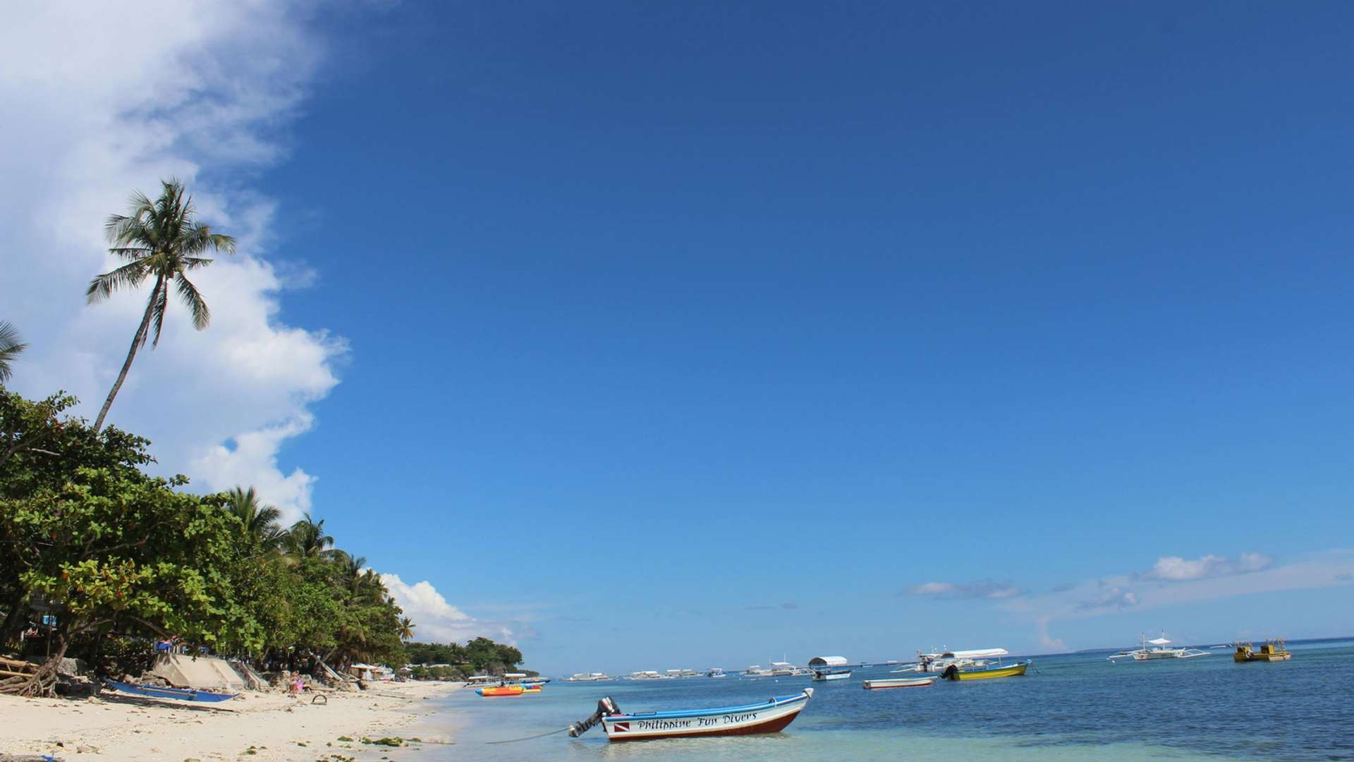 Panglao Tours and Trips