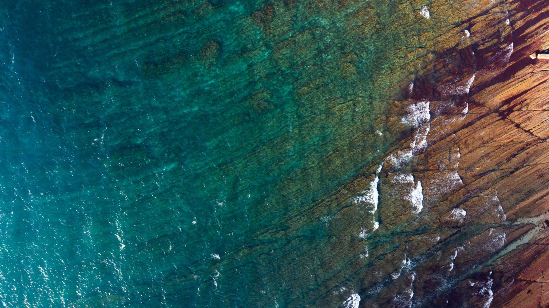 Peniche Tours and Trips