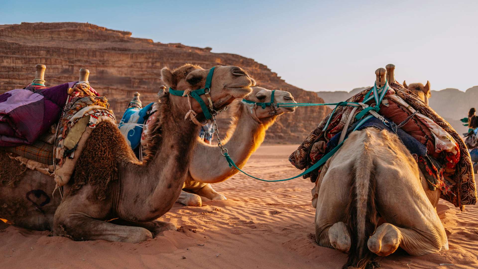 Petra Tours in October 2026