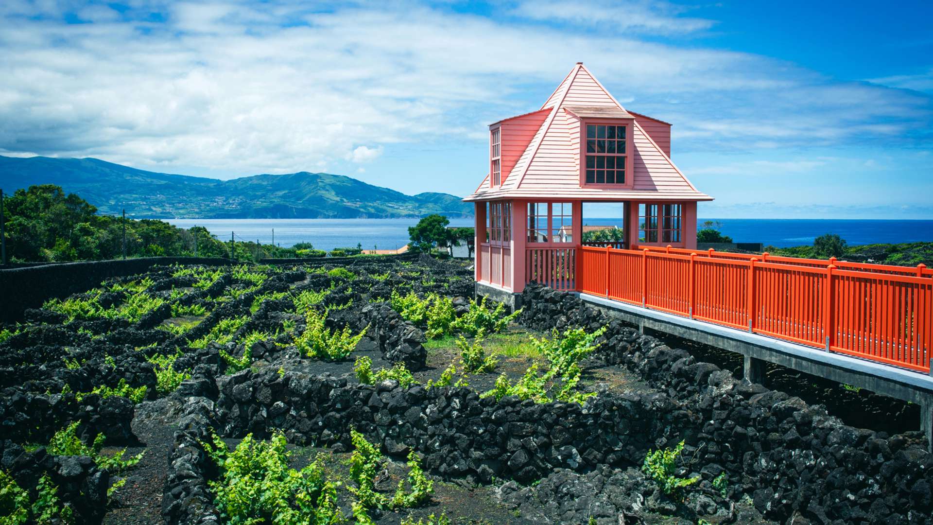 Pico Tours and Trips