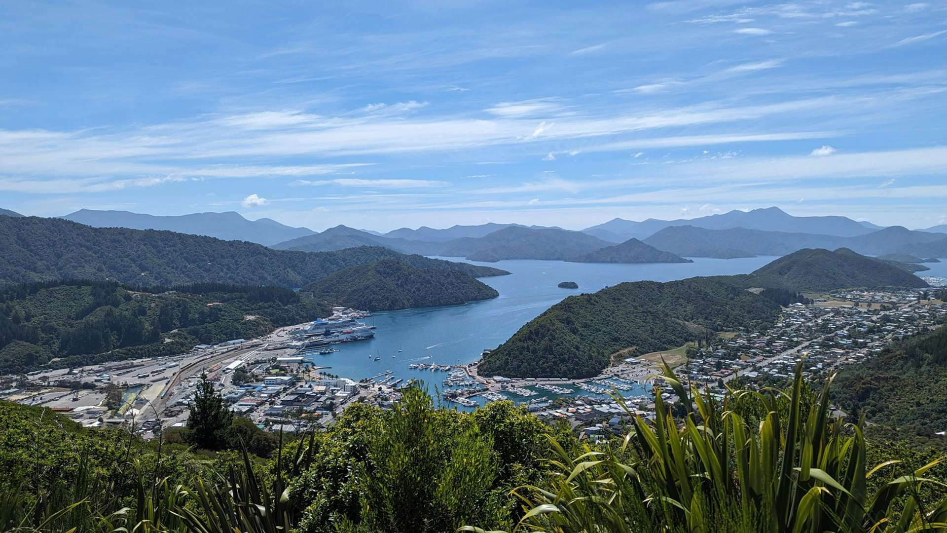 Picton Tours and Trips