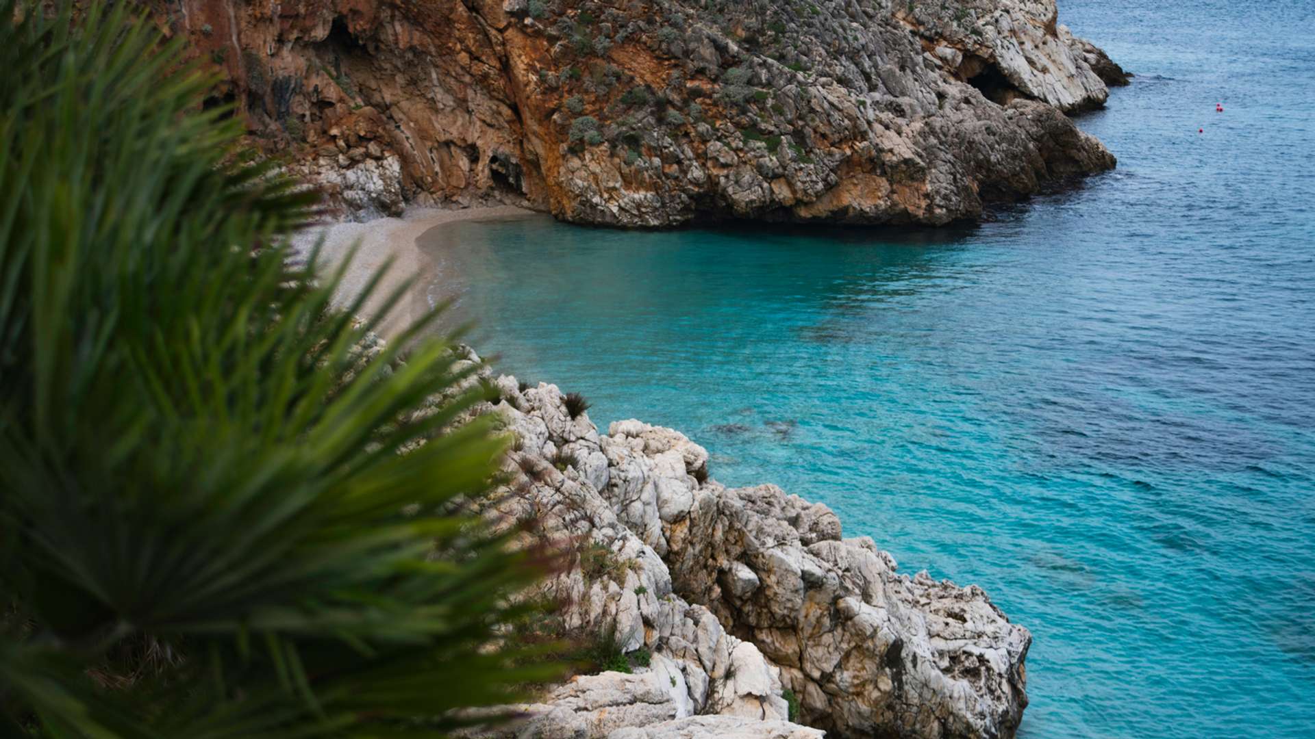 Polignano A Mare Tours and Trips